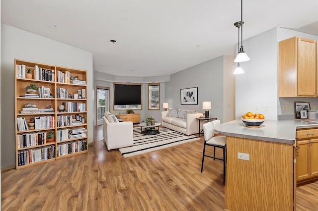 2530 34th St Unit 111, Minneapolis, MN 55406 - living room featuring light wood-type flooring