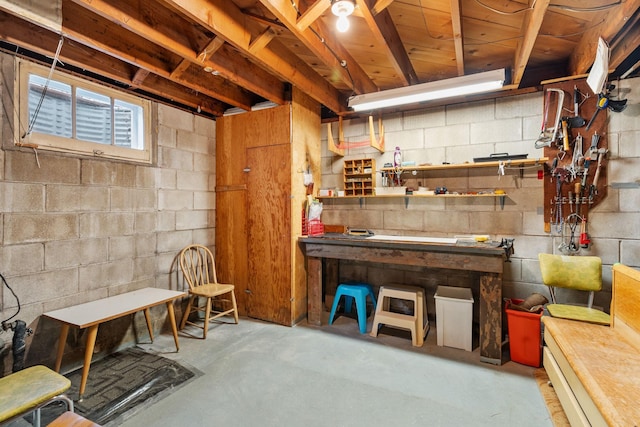 below grade area featuring a workshop area