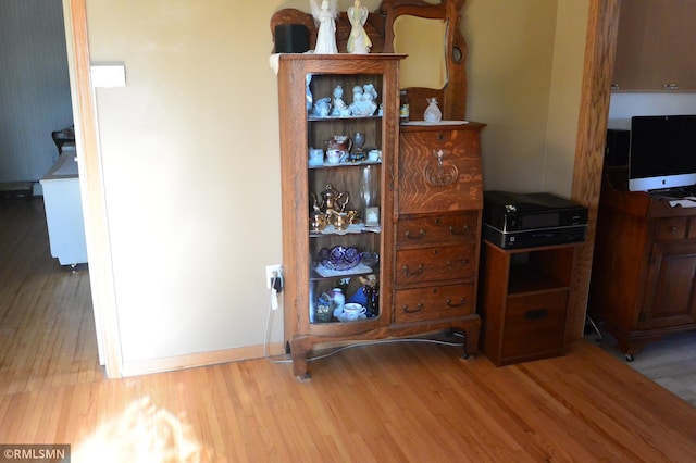 details featuring wood finished floors