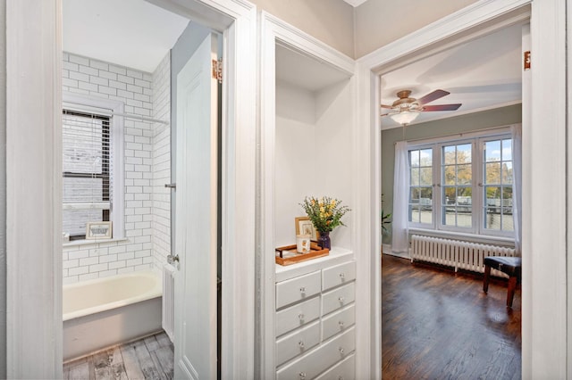 full bath featuring ceiling fan, radiator heating unit, a bath, and wood finished floors