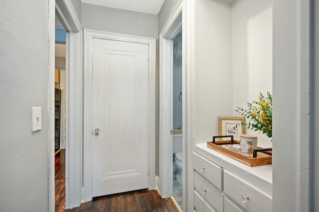 doorway with dark wood-style floors
