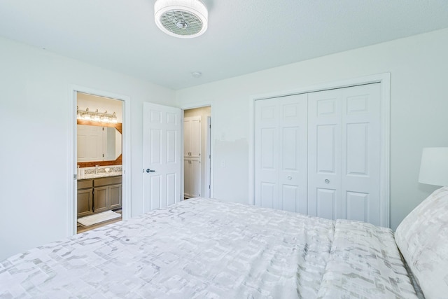 18095 Exeter Pl, Farmington, MN 55024 - bedroom featuring a sink, a closet, and connected bathroom