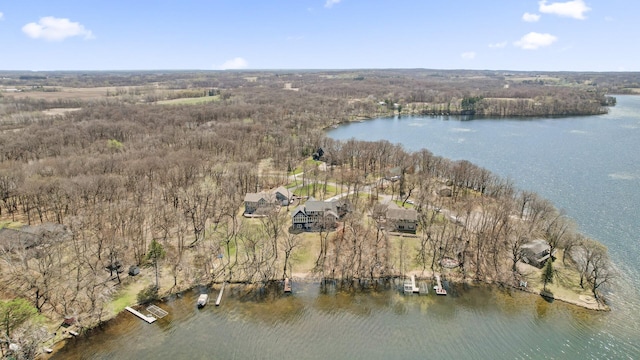 bird's eye view with a water view and a view of trees