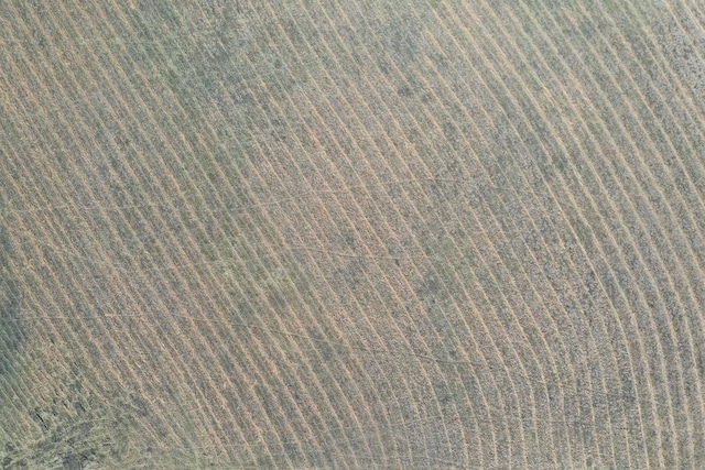 view of details