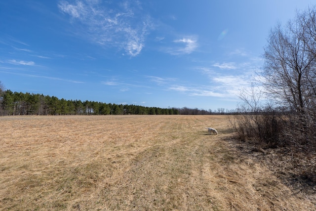 view of local wilderness with a rural view