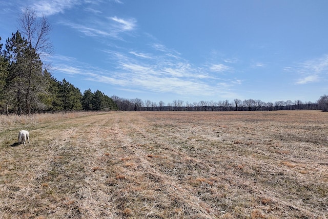 view of yard with a rural view