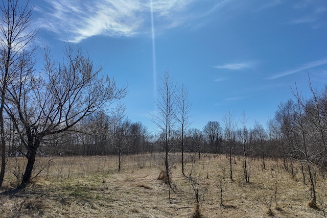 view of nature featuring a forest view