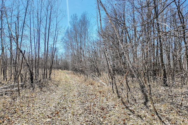 view of landscape