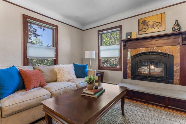 living room featuring a textured wall, a high end fireplace, and a baseboard radiator
