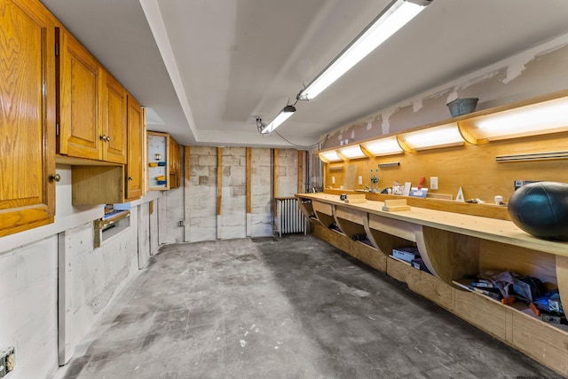 below grade area with a workshop area