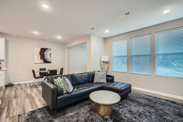 17935 Giants Way, Lakeville, MN 55044 - living room with light wood-type flooring, plenty of natural light, baseboards, and recessed lighting