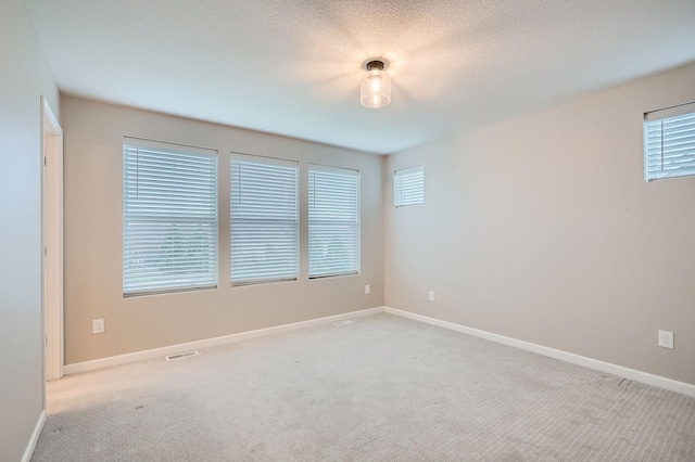 17935 Giants Way, Lakeville, MN 55044 - spare room featuring carpet flooring, healthy amount of natural light, baseboards, and a textured ceiling