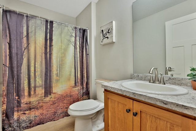 bathroom featuring vanity, toilet, and wood finished floors