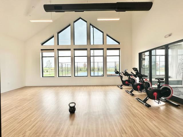 17121 Dysart Pl, Lakeville, MN 55044 - exercise area with healthy amount of natural light, high vaulted ceiling, and wood finished floors