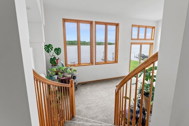6300 Linden Ln, Mound, MN 55364 - stairway featuring carpet floors, a water view, and baseboards