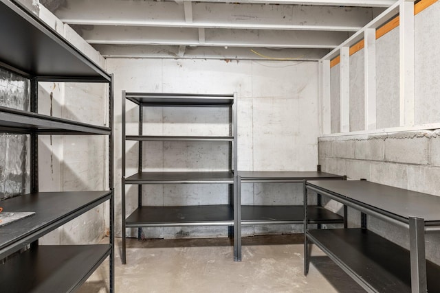 6300 Linden Ln, Mound, MN 55364 - view of storage area