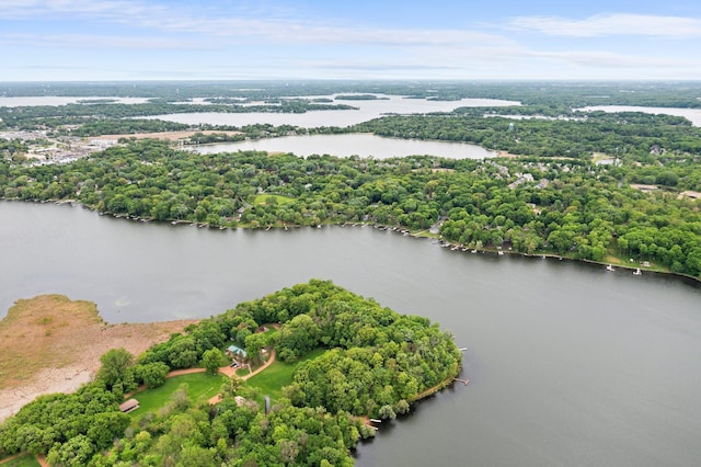 6300 Linden Ln, Mound, MN 55364 - bird's eye view of a large body of water and a heavily wooded area