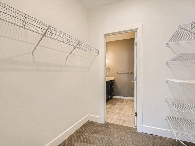 walk in closet featuring carpet floors