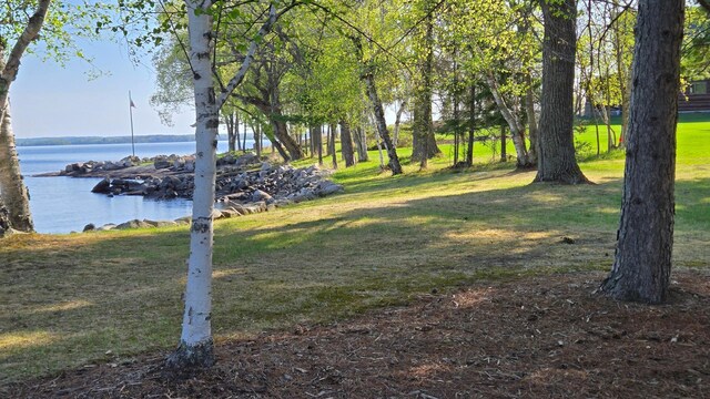 9980 Cedar Ln N, Kabetogama, MN 56669