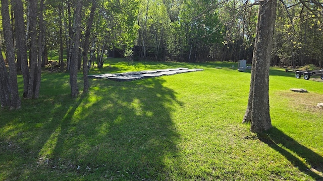 9980 Cedar Ln N, Kabetogama, MN 56669