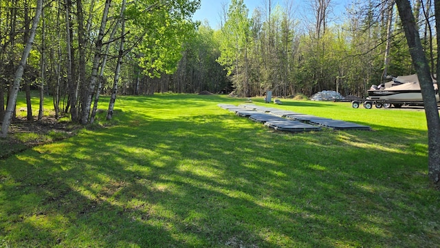 9980 Cedar Ln N, Kabetogama, MN 56669