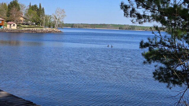 9980 Cedar Ln N, Kabetogama, MN 56669