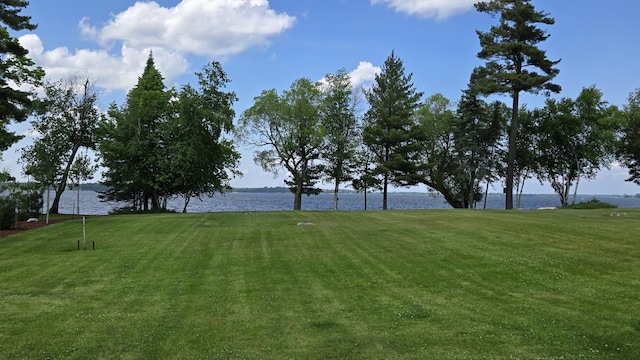 9980 Cedar Ln N, Kabetogama, MN 56669