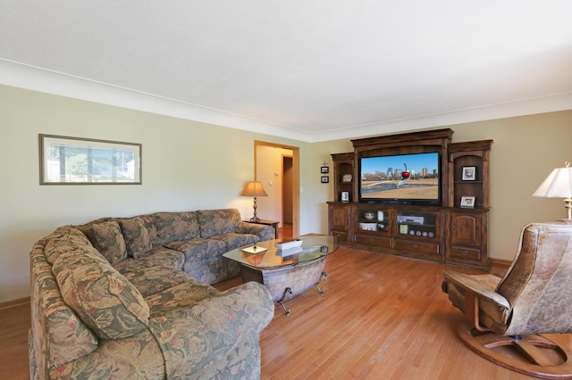 living room with wood finished floors