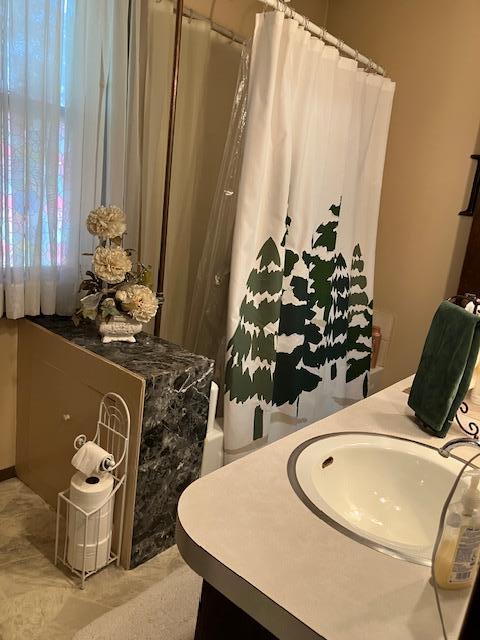 bathroom with a sink