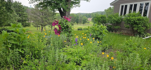 1224 Tee Up Ln, Red Wing, MN 55066 - view of yard