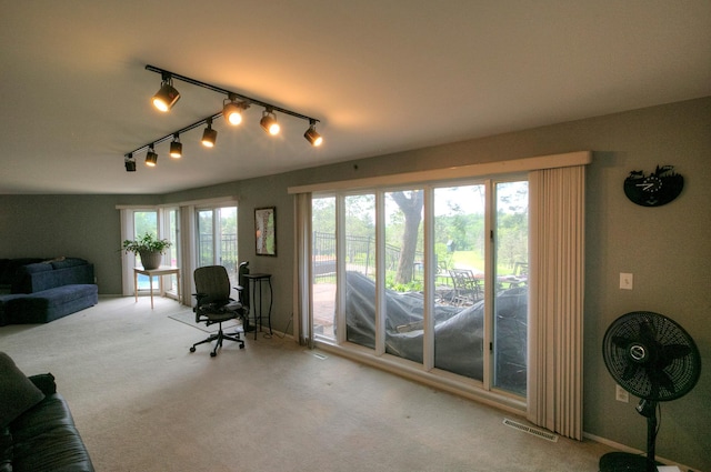 1224 Tee Up Ln, Red Wing, MN 55066 - carpeted living area with track lighting