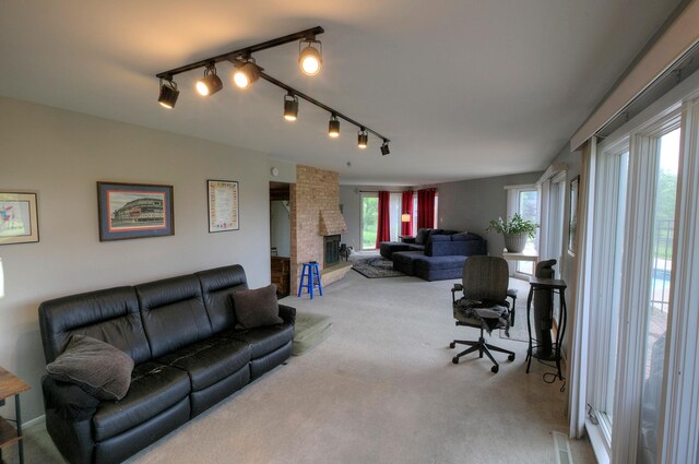 1224 Tee Up Ln, Red Wing, MN 55066 - living room featuring carpet, plenty of natural light, and track lighting
