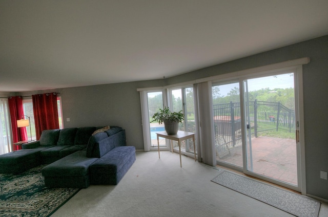 1224 Tee Up Ln, Red Wing, MN 55066 - living room with carpet