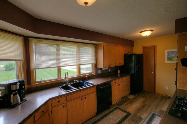 1224 Tee Up Ln, Red Wing, MN 55066 - kitchen featuring black appliances, a sink, healthy amount of natural light, dark wood-style flooring, and a textured ceiling