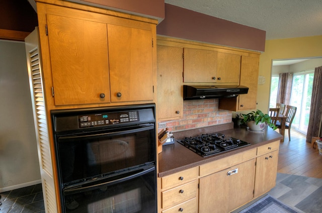 1224 Tee Up Ln, Red Wing, MN 55066 - kitchen featuring black appliances, under cabinet range hood, backsplash, a textured ceiling, and baseboards