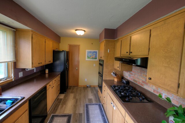 1224 Tee Up Ln, Red Wing, MN 55066 - kitchen with under cabinet range hood, black appliances, light wood-type flooring, dark countertops, and a textured ceiling