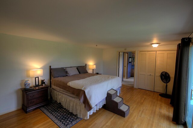 1224 Tee Up Ln, Red Wing, MN 55066 - bedroom with light wood-style floors, a closet, and baseboards