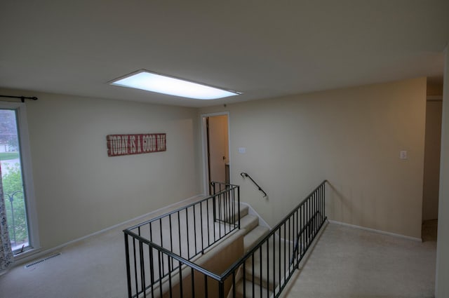 1224 Tee Up Ln, Red Wing, MN 55066 - stairs featuring carpet flooring and baseboards