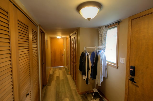1224 Tee Up Ln, Red Wing, MN 55066 - hallway featuring wood finished floors