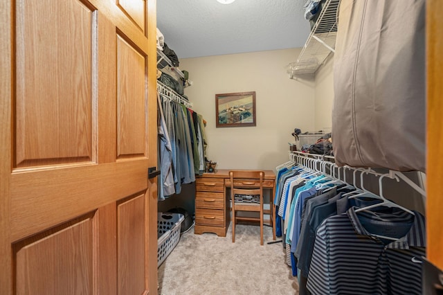 spacious closet with light carpet