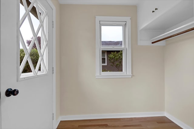 1217 High St, Lake City, MN 55041 - entryway with healthy amount of natural light, wood finished floors, and baseboards