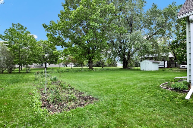 1217 High St, Lake City, MN 55041 - view of grassy yard