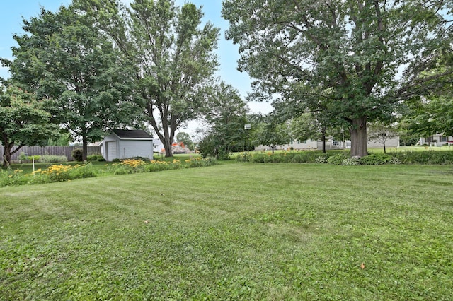 1217 High St, Lake City, MN 55041 - view of yard with a shed