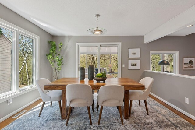 dining space with baseboards, visible vents, and a wealth of natural light