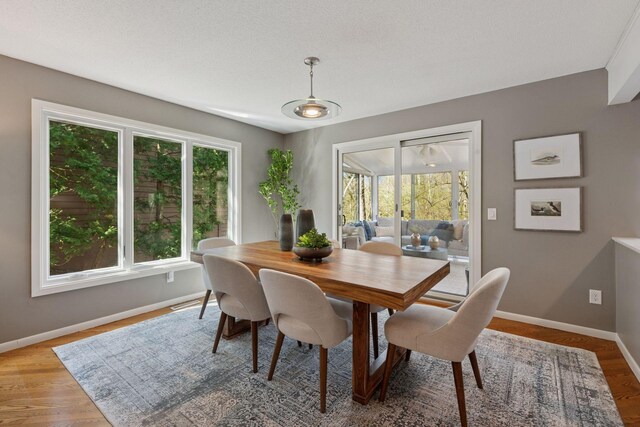 dining space featuring a healthy amount of sunlight, baseboards, and light wood finished floors