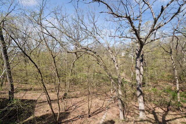 view of local wilderness featuring a forest view