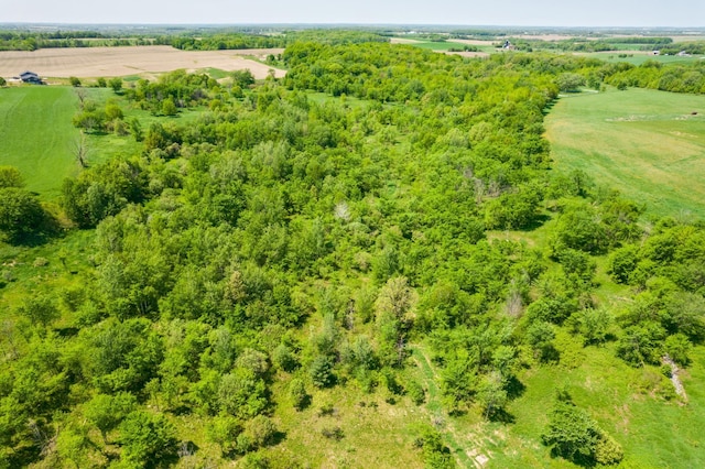 drone / aerial view featuring a rural view