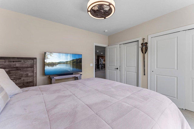 5435 Yellowstone Trl, Minnetrista, MN 55331 - bedroom featuring multiple closets