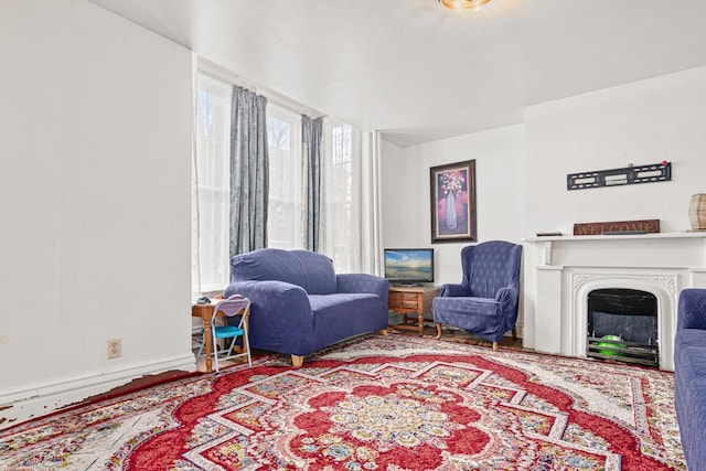 living area featuring a fireplace