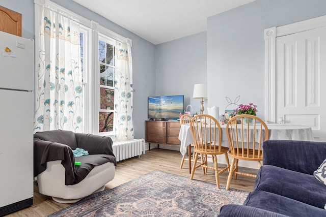 living room with light wood-style flooring and radiator heating unit